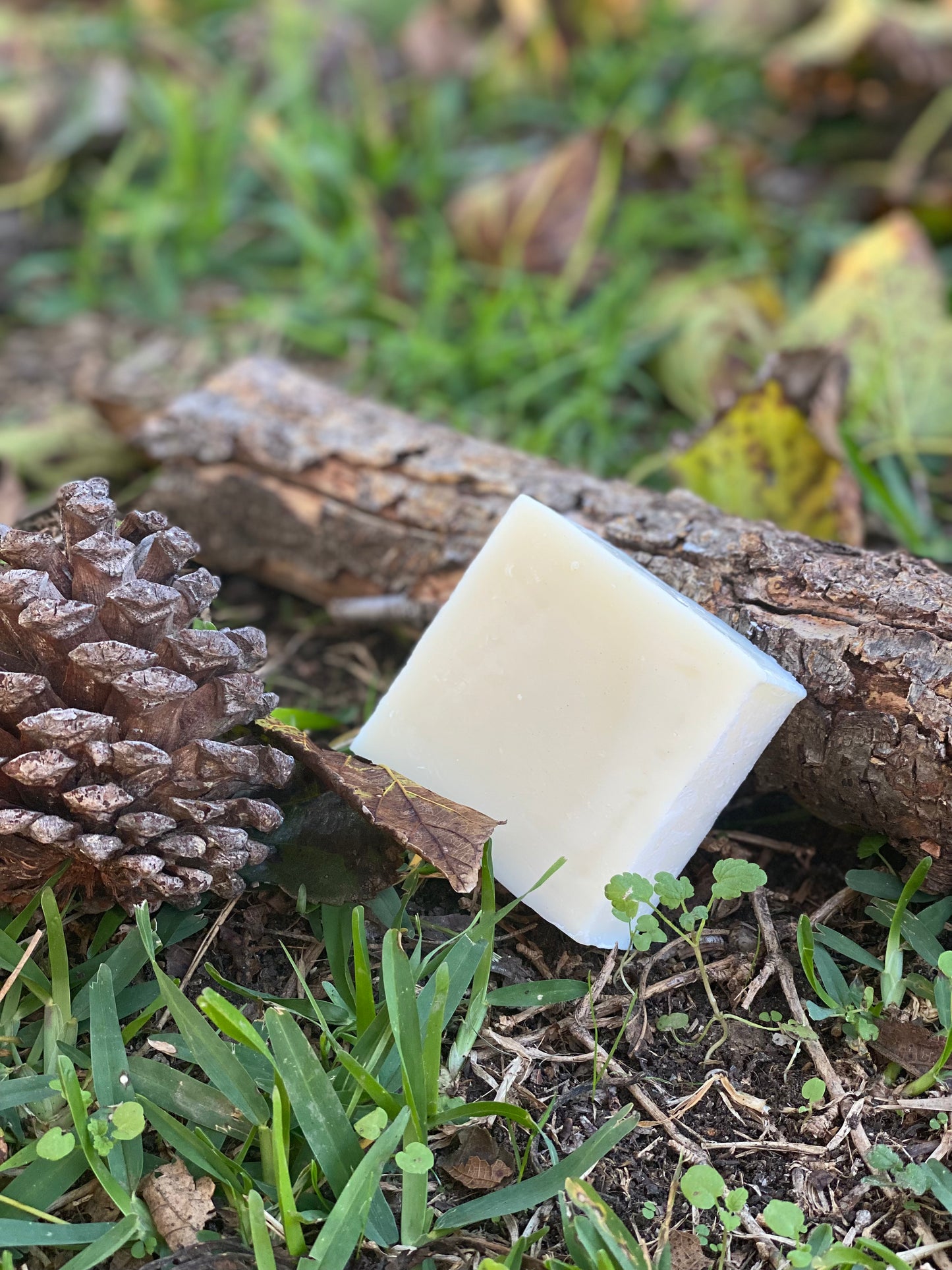 Woodsman Tallow Soap
