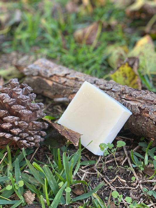 Woodsman Tallow Soap