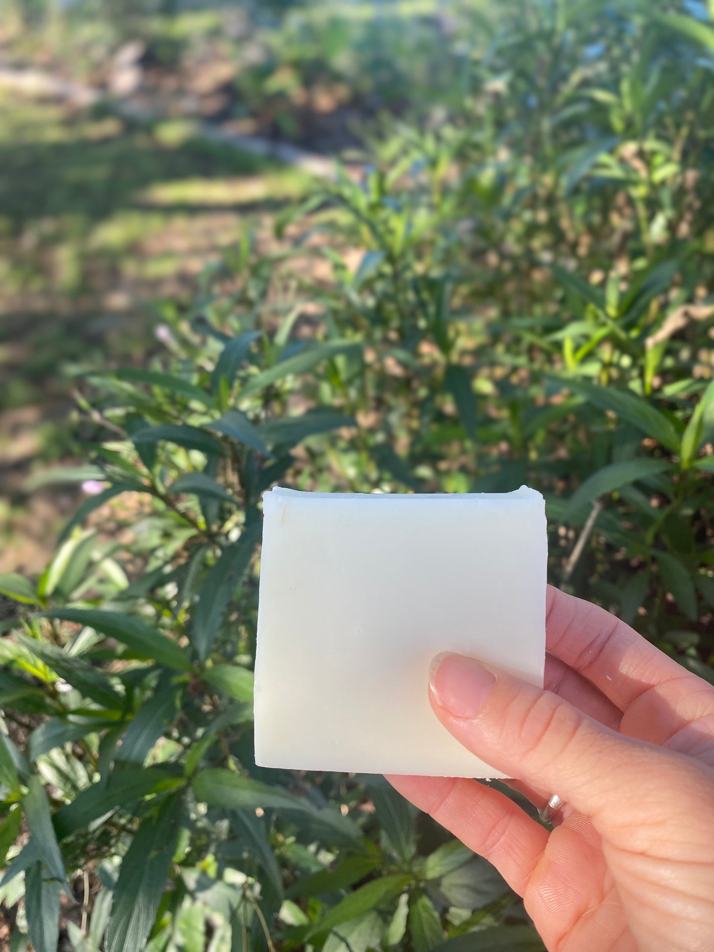 Peppermint Lavender Tallow Soap